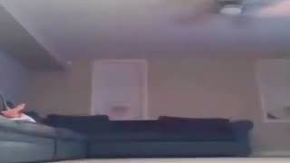 Oggy Fans If Xilam Releases Herve And Hugues Tracks