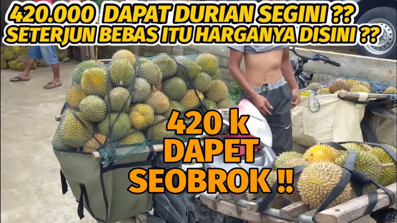 Beli langsung dirumah petani, Harga Durian di Kampung Karangsono Murah Banget.