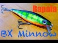 Rapala BX Minnow Review