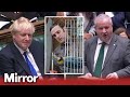 Ian Blackford compares Boris Johnson to Monty Python&#39;s &#39;dead parrot&#39;