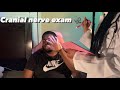 ASMR Realistic Cranial Nerve Exam On Patient