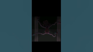 English or Spanish (Poppy Playtime)#sticknodes#animation