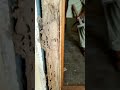 Termite Damages your House Deemak Control Services 0300-8000036