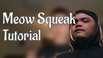 Beatbox Tutorial | Meow Squeak