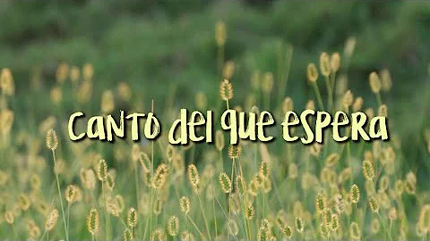 Canto del que espera  Rubn Melero, letra. Israel B...