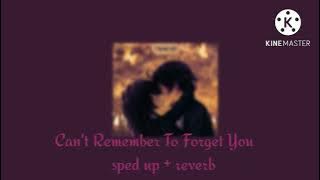 Can't Remember To Forget You Sped up   reverb :]