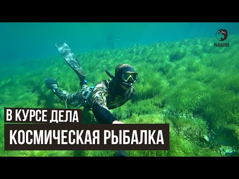 Космическая рыбалка / В курсе дела / #35