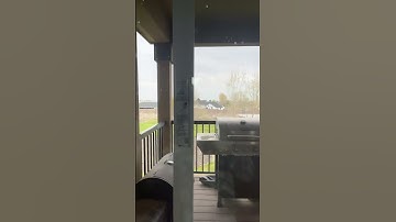 day 2 of ugly transitions and trying to hit 1k subs before my bday(may first)#viral#transition