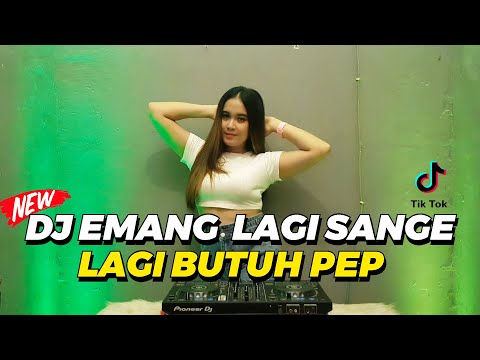 DJ EMANG LAGI SANGE LAGI BUTUH PEP JEDAG JEDUG FULL BASS VIRAL TERBARU 2022 | DJ GRC