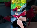 穿高跟鞋上班 一天下来脚酸的不行 这个 前脚掌垫真的可以舒服一整天 还可以防滑不磨脚 脚出汗的必备 高跟鞋 穿高跟鞋上班 一天下来脚酸的不行 这个 前脚掌垫真的可以舒服一整天 还可以防滑不磨脚 脚出汗的必备 高跟鞋