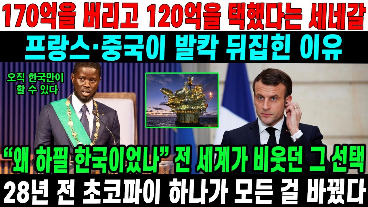 프랑스 170억·중국 150억 거절… 세네갈이 끝내 한국을 선택한 충격적인 이유