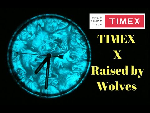 TIMEX x RAISED By WOLVES Unboxing and Review