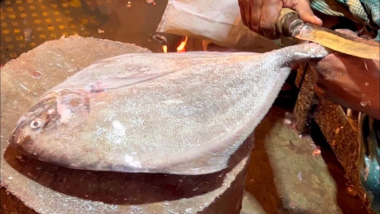 Big Black Pomfret & Bhetki Fish Cutting Skills Fish Market Bangladesh YouTube
