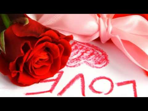 هوا انتي لسه بتسألي هاني شاكر من افضل الاغاني القديمة