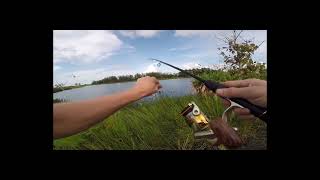 reel pancing badak murah berkualitas #reelpancing #alatpancing
