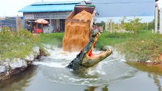 Download Lagu Landfill Project!! Dump Trucks Dump Dirt to Eliminate Flooding | Bulldozer in Action! MP3 Download Lagu Landfill Project!! Dump Trucks Dump Dirt to Eliminate Flooding | Bulldozer in Action! MP3