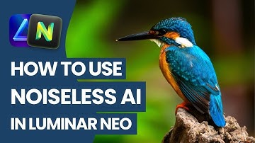 Luminar NEO: NOISELESS AI Extension