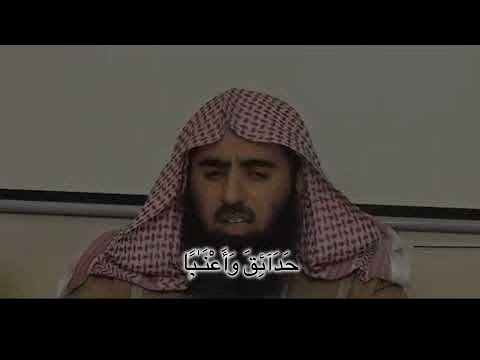 سورة النبأ اللحيدان بدون مؤثرات بدون صدى صوت