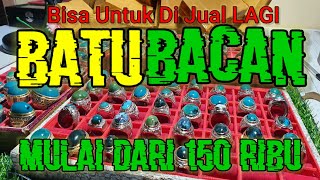 HARGA BATU AKIK CINCIN BACAN COKLAT DOKO PALAMEA MAJIKO  | JAKARTA GEMSTONES MARKET (INDONESIA). 