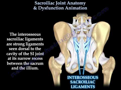 Video: Sacroiliac Ligament Anatomy, Function & Diagram - Kroppskartor