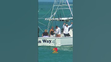 Fishing Frenzy: Reeling in the Big Catch!