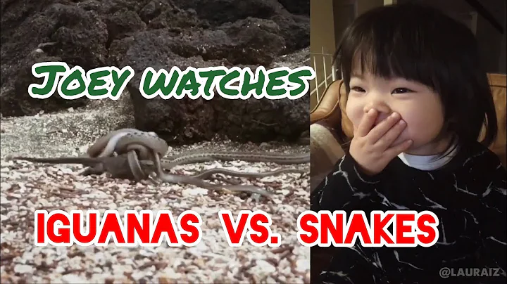 Joey Watches Iguanas vs. Snakes on Planet Earth 2