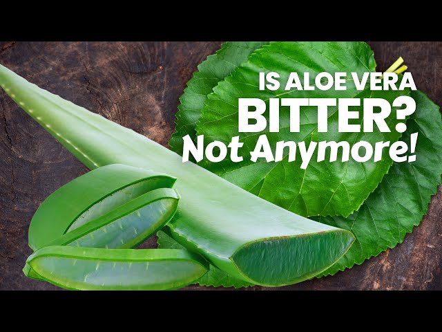 How To Remove The Bitter Taste of Aloe Vera Naturally (It Really Works!) -  YouTube