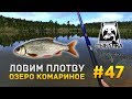 Русская рыбалка 4 #47 - Ловим Плотву. Озеро Комариное.