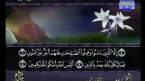 سورة التين 95 - 114 سعد الغامدي - قراءة مرتلة