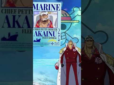 one piece bounties