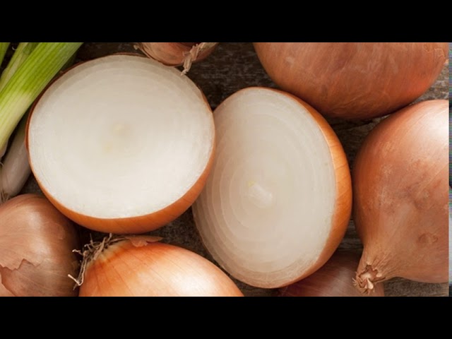 Витамины в луке и их польза