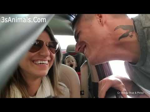 Cutest Babies Reaction