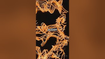 setTimeout vs setInterval | JavaScript Explained in 60 Seconds