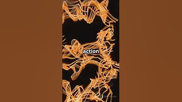 setTimeout vs setInterval | JavaScript Explained in 60 Seconds