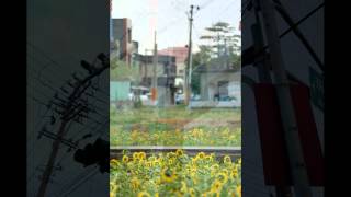 謝謝你的愛 - 李心潔 謝謝你的愛 - 李心潔