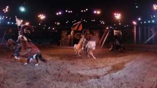 Las Vegas Serpentine 360