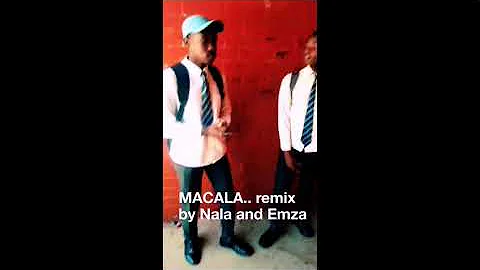 Macala by mlindo the vocalist covered by Nala 🔥..
