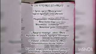 250 ICILONGO LEVANGELI IYEZA INKOSI YEZULU