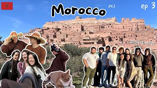Morocco Vlog Pt.1: Exploring Marrakech and Ouarzazate, trying Moroccan food and seeing lots of cats