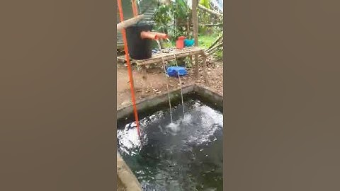 DIY MEGA FILTER POND FOR MY TILAPIA FISH