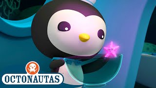Octonautas - Ajudando Uma Estrela-Do-Mar Perdida Primeira Temporada Episódios Inteiros
