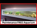 Wall Mounted Aquarium - Wall Mounted Fish Tank WITHOUT Maintenance [EPIC]