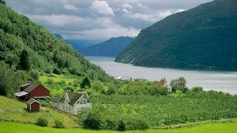 سورة ال عمران الشيخ محمد حسن السويفي