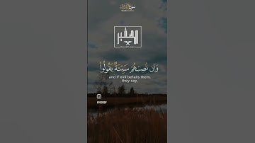 القارئ يوسف صقير