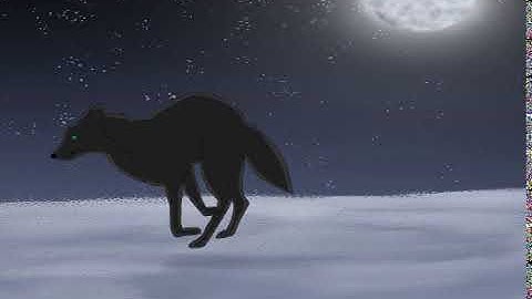 Wolf run animation