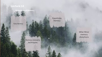 PSY213 Lecture 14 : Part 2