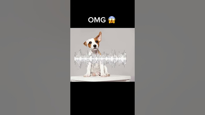 This is insane🤯 Only dogs will hear this sound!!!