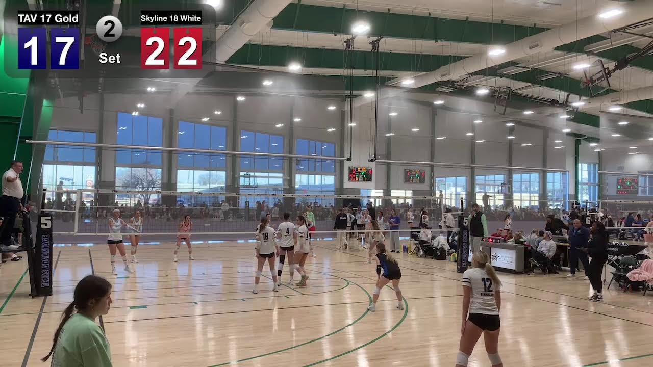 TAV 17 Gold  vs Skyline 18 White