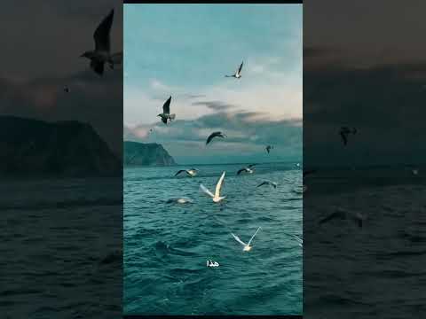 ماخذ قلبي من ايده