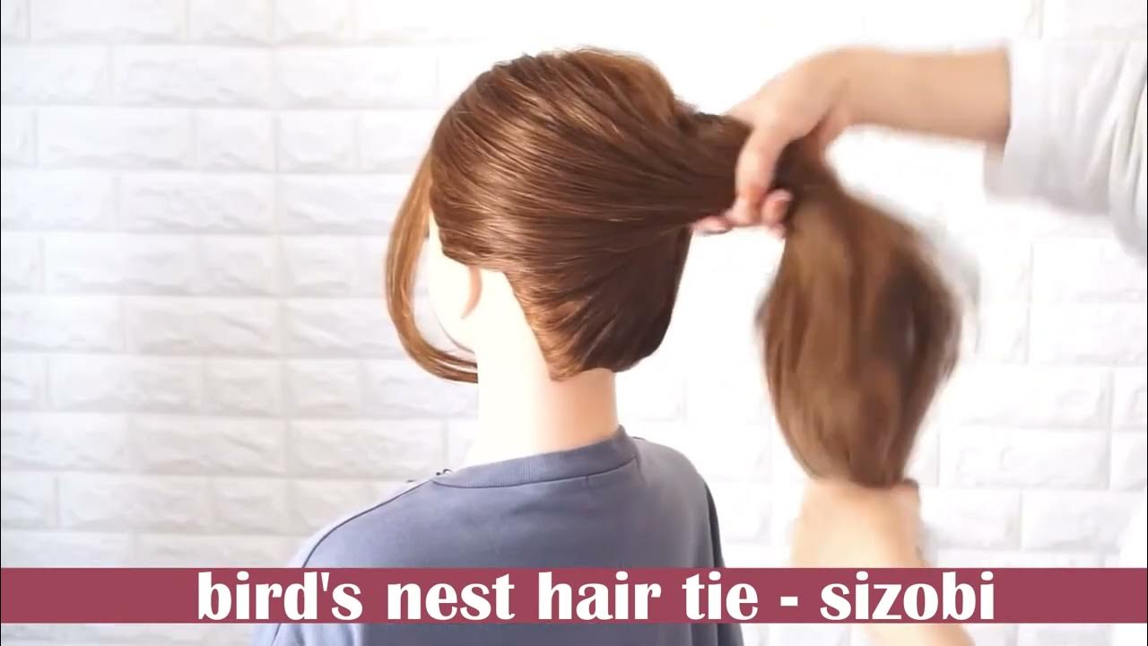 birds nest hair clip！ YouTube